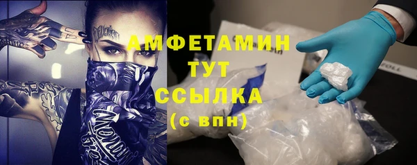 альфа пвп Новодвинск