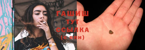 альфа пвп Новодвинск