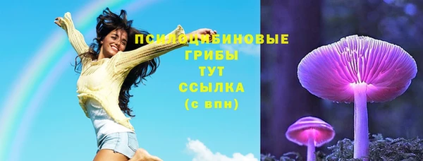 дмт Новозыбков