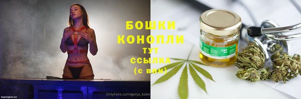 альфа пвп Новодвинск