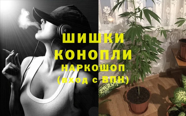 альфа пвп Новодвинск