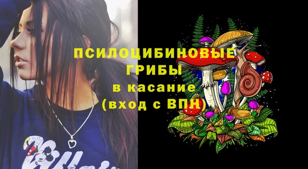 дмт Новозыбков
