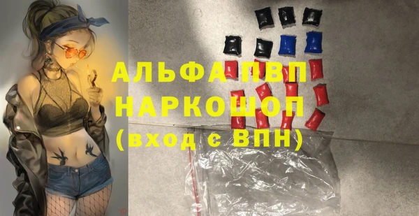 альфа пвп Новодвинск