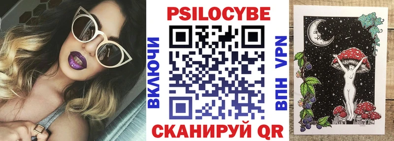 Галлюциногенные грибы Psilocybe Тутаев